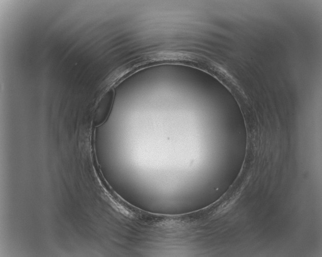 X0000062641033200601041052