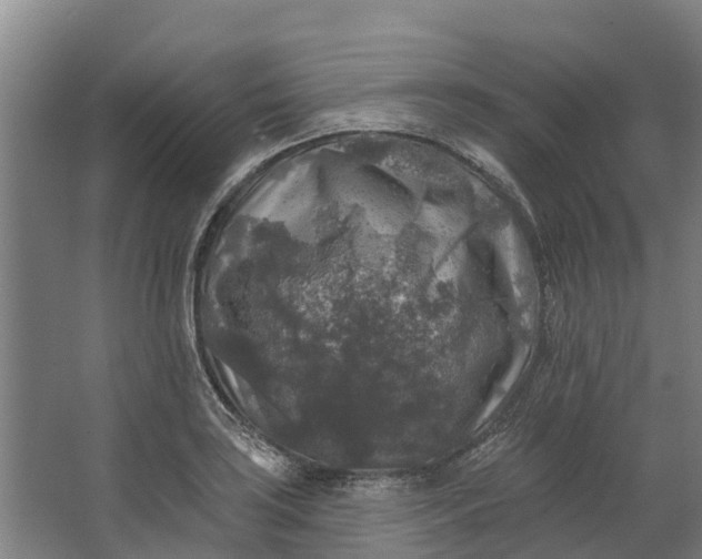 X0000062641035200601041052