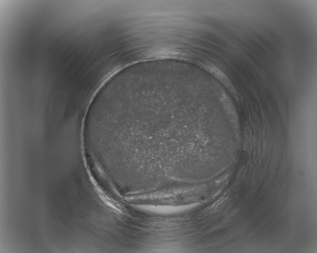 X0000062641039200601041052