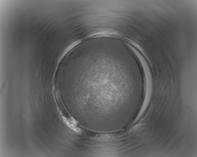 X0000062641042200601041052