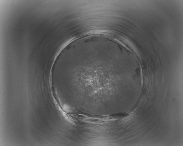 X0000062641050200601041052