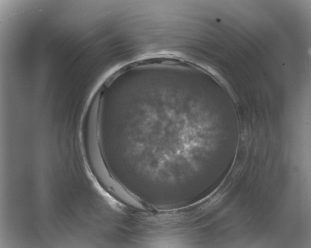 X0000062641054200601041052