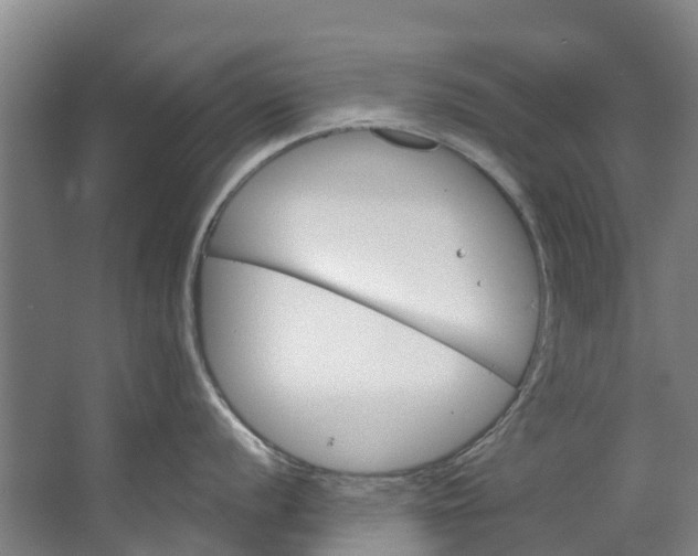 X0000062641056200601041052