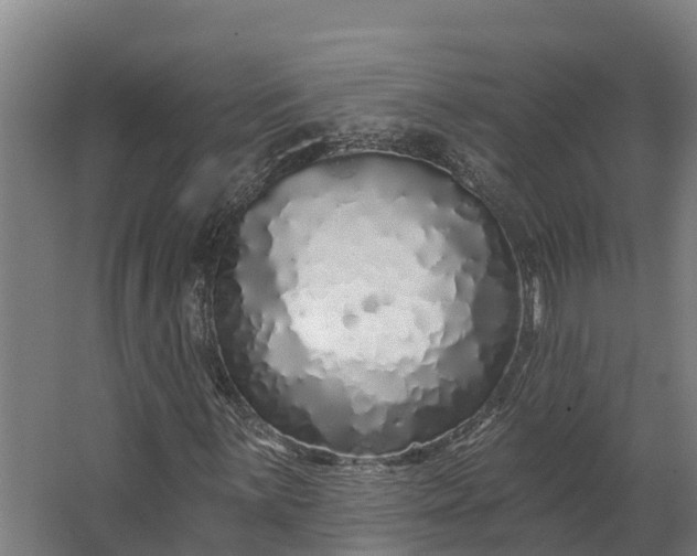 X0000062641059200601041051