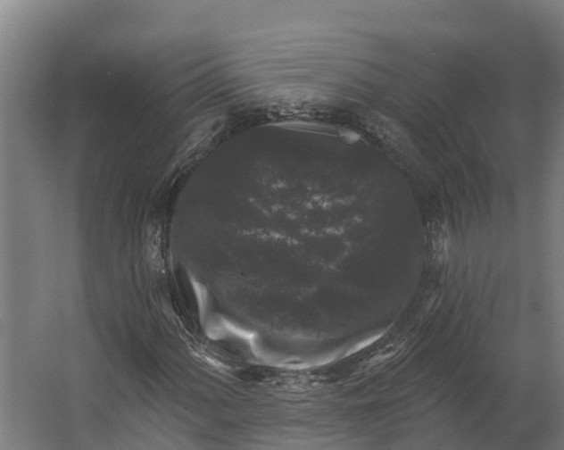 X0000062641060200601041051