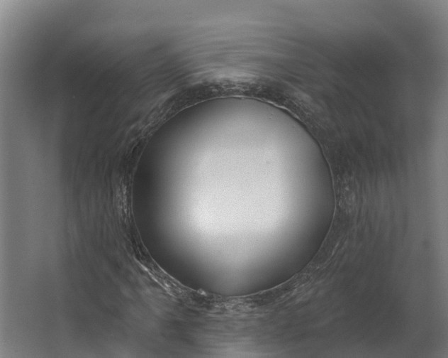 X0000062641061200601041051