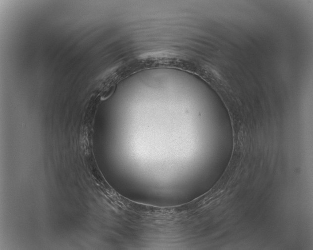 X0000062641062200601041051