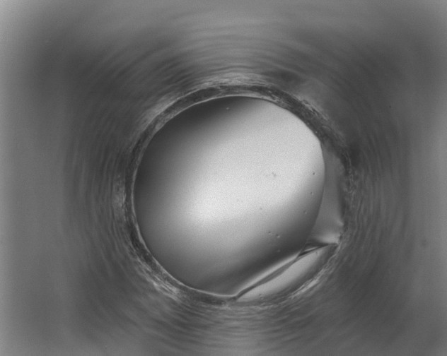 X0000062641065200601041051