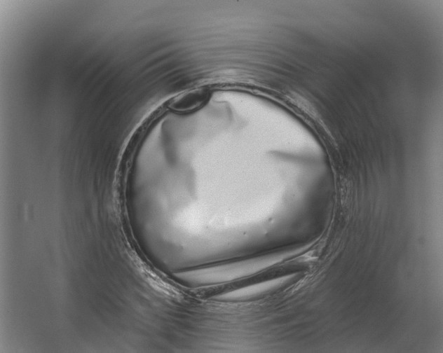 X0000062641068200601041051