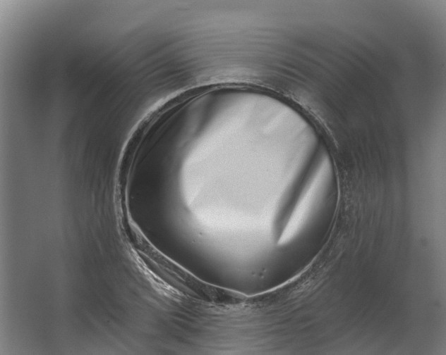 X0000062641072200601041051