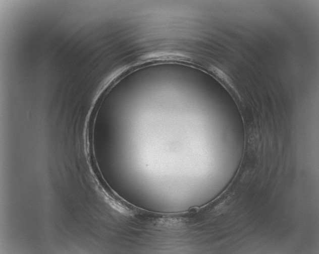 X0000062641082200601041051
