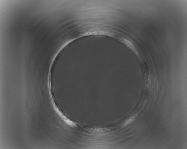 X0000062641084200601041051