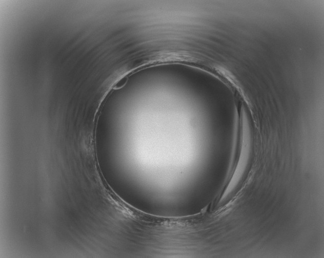 X0000062641089200601041051