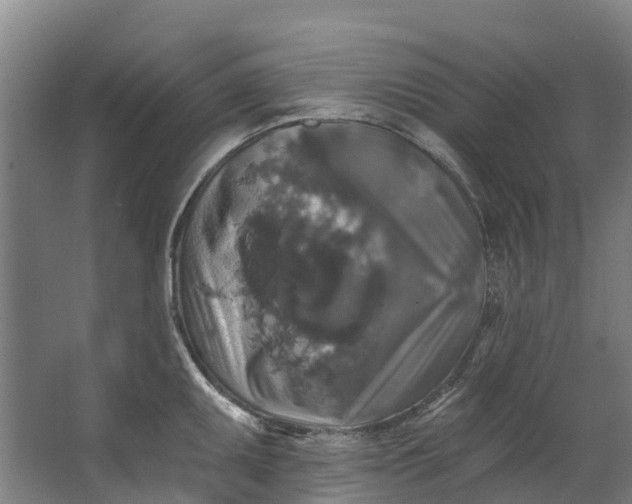 X0000062641095200601041051