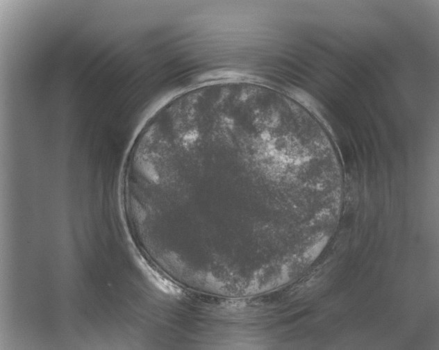 X0000062641098200601041050