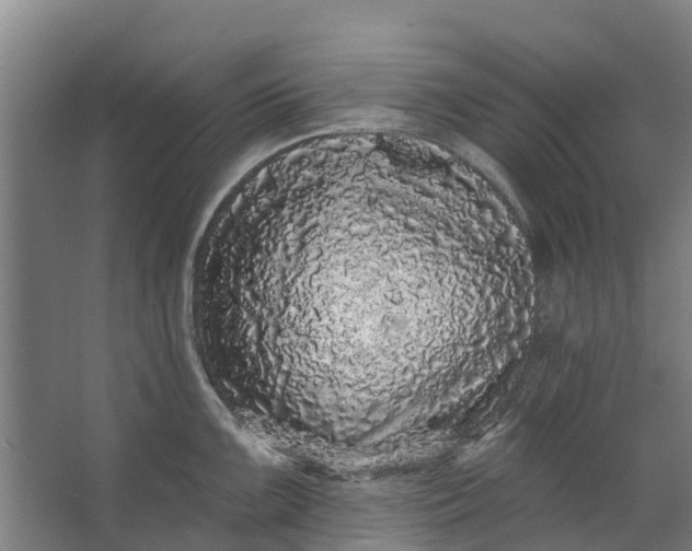 X0000062641099200601041050