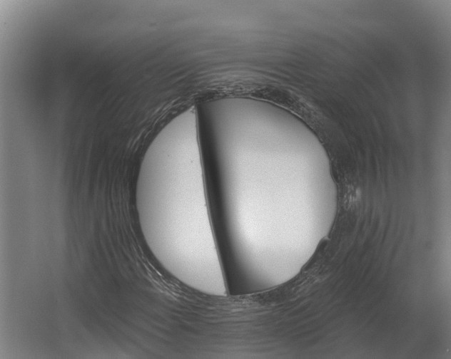 X0000062641108200601041050