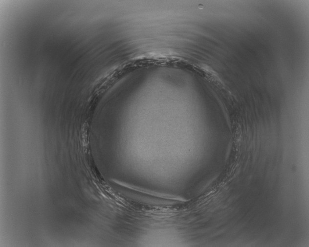 X0000062641110200601041050