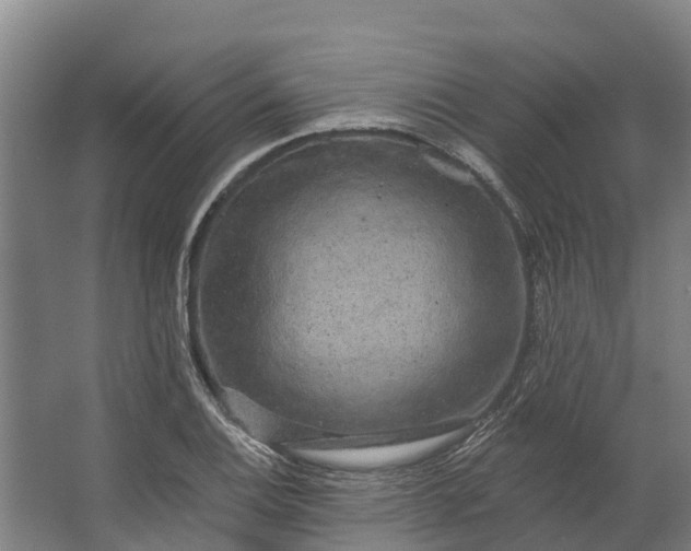 X0000062641124200601041050