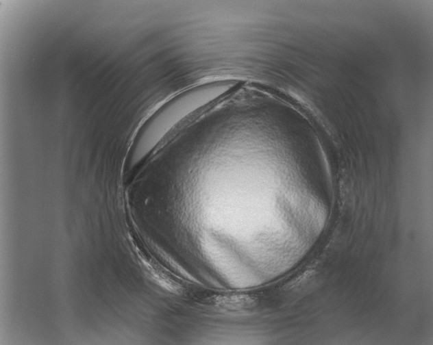 X0000062641129200601041050