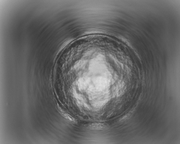 X0000062641137200601041050