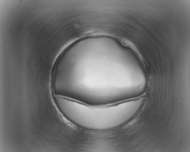 X0000062641149200601041050