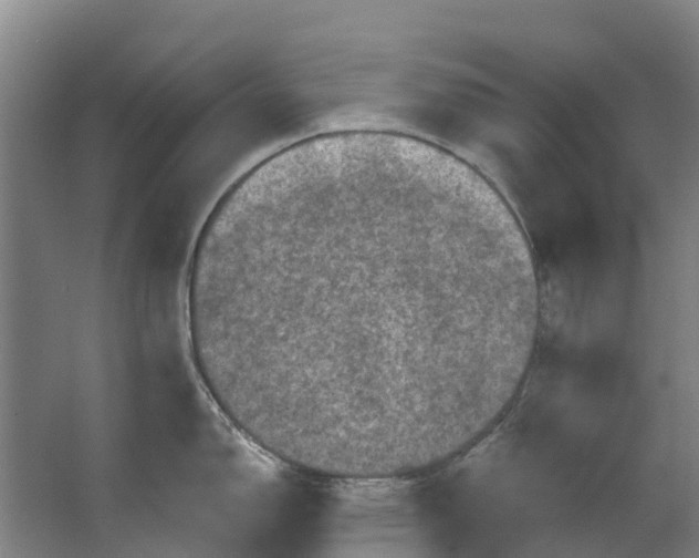 X0000062641150200601041050