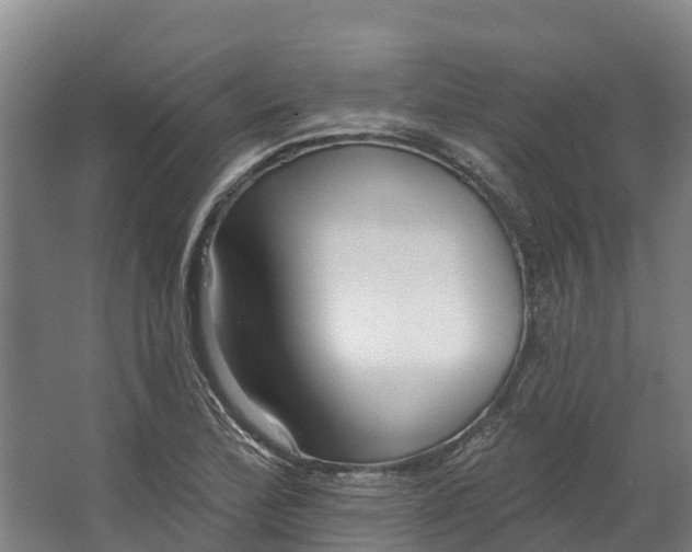 X0000062641172200601041049
