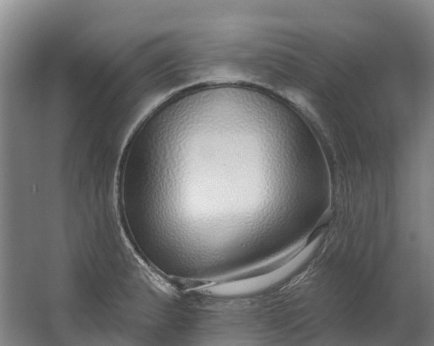 X0000062641183200601041049