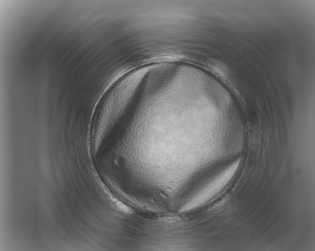 X0000062641186200601041049