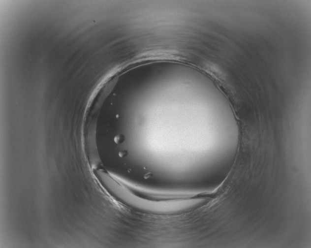 X0000062641188200601041049