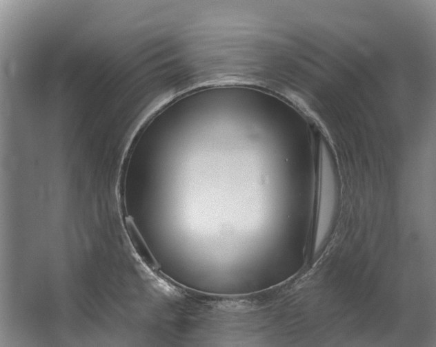 X0000062641189200601041049