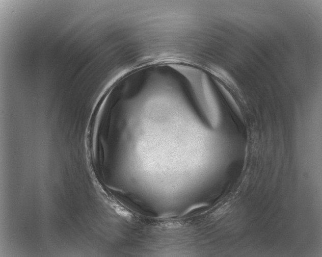 X0000062641190200601041049
