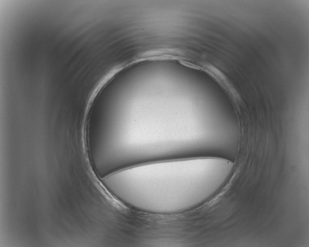 X0000062641196200601041049