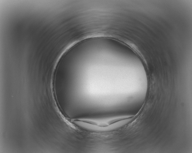 X0000062641197200601041049
