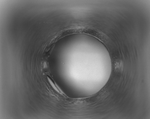 X0000062641204200601041048