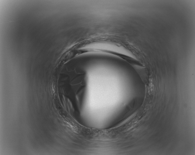 X0000062641206200601041048