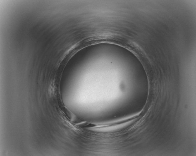 X0000062641210200601041048