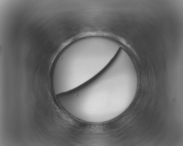 X0000062641221200601041048