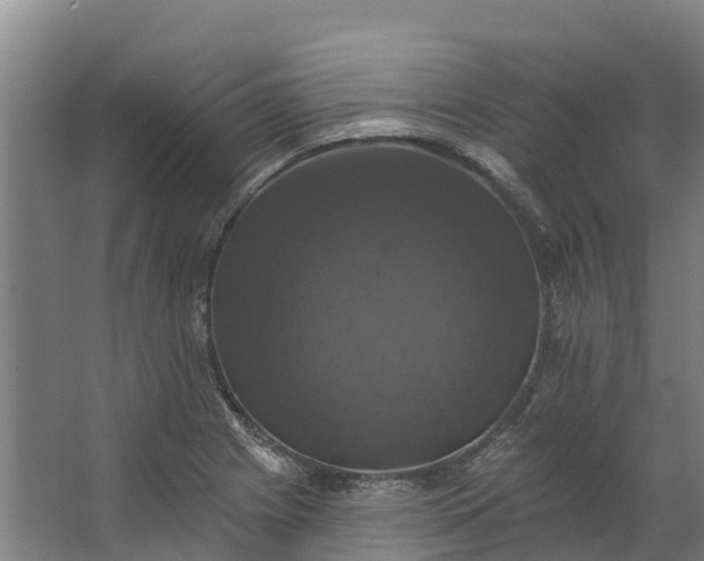 X0000062641225200601041048