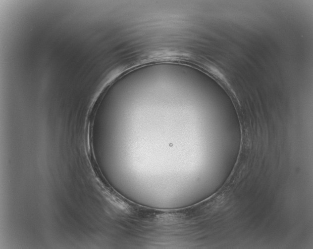 X0000062641227200601041048