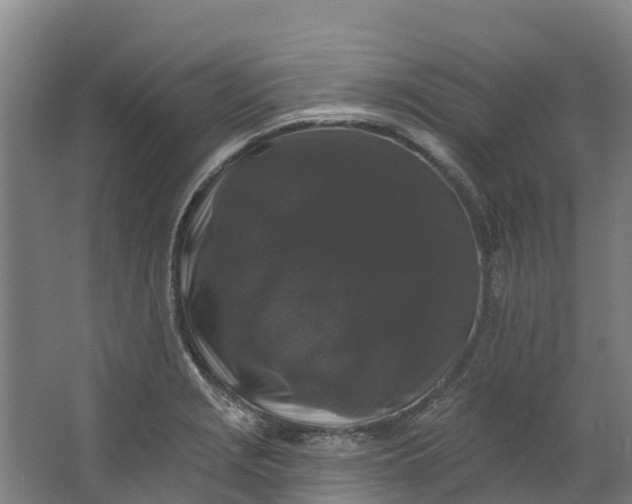 X0000062641229200601041048