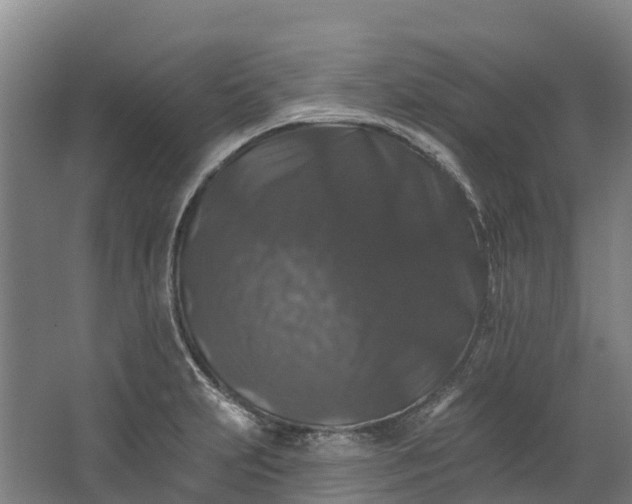 X0000062641231200601041048