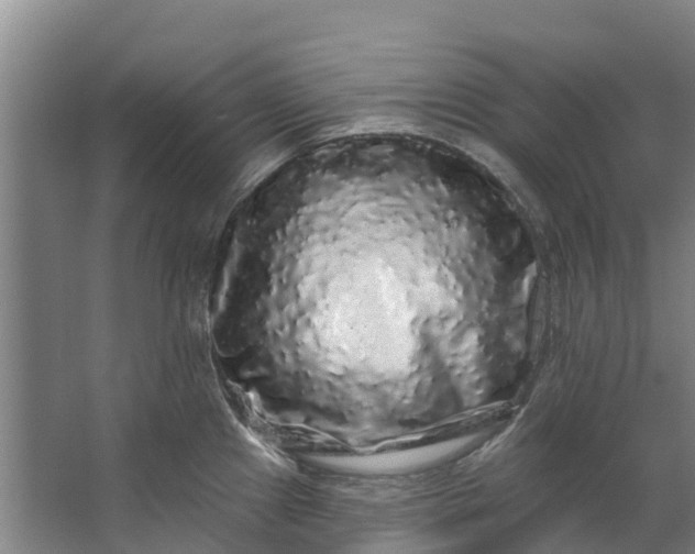 X0000062641241200601041049