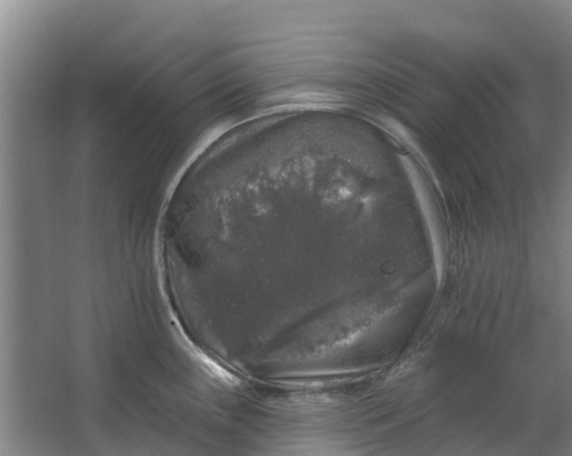 X0000062641243200601041049