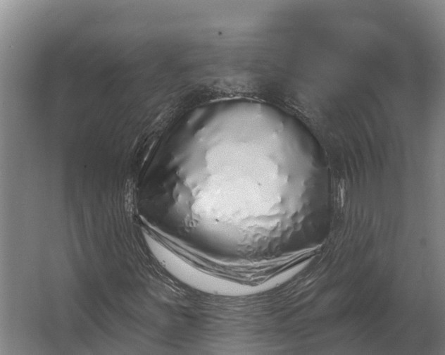 X0000062641251200601041048