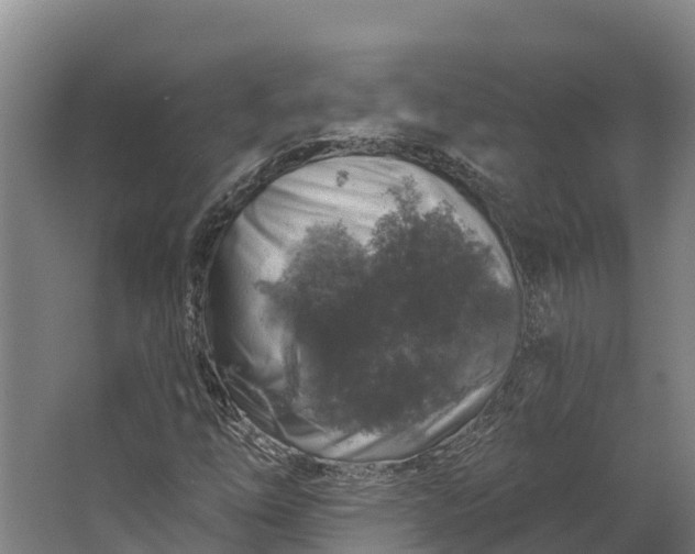 X0000062641254200601041048