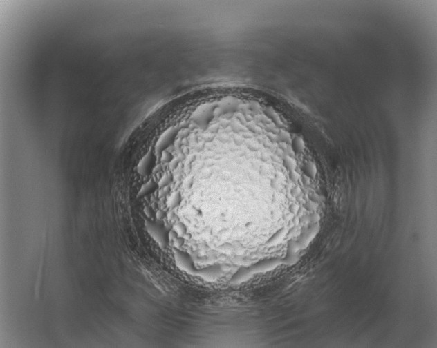 X0000062641255200601041048