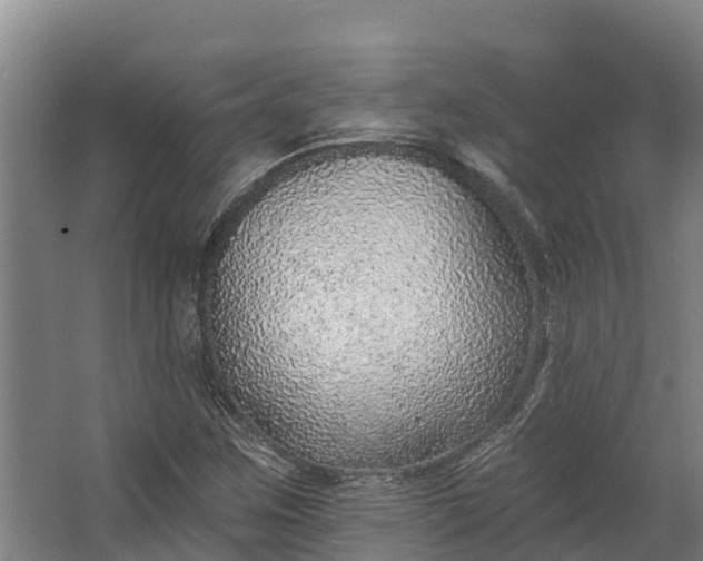 X0000062641259200601041048