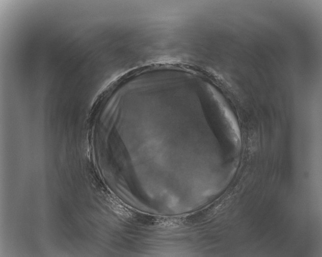 X0000062641262200601041048